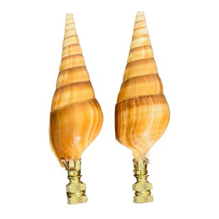 1970s Coastal Pair Turbo Sea Shell Lamp Finials For Sale