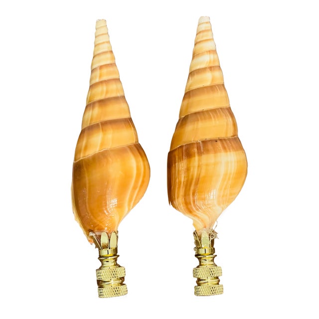 1970s Coastal Pair Turbo Sea Shell Lamp Finials For Sale