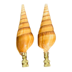 1970s Coastal Pair Turbo Sea Shell Lamp Finials