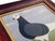 Matt Rix, Naïve Style Racing Pigeon, Oil Painting, Framed For Sale - Image 10 of 12