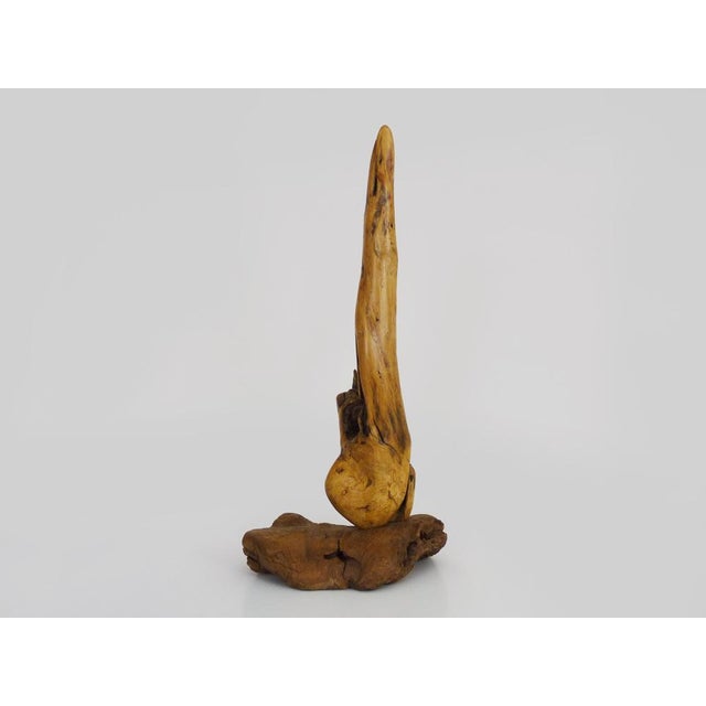 Brutalist Abstract Sculpture in Wood, 2010 For Sale - Image 10 of 11
