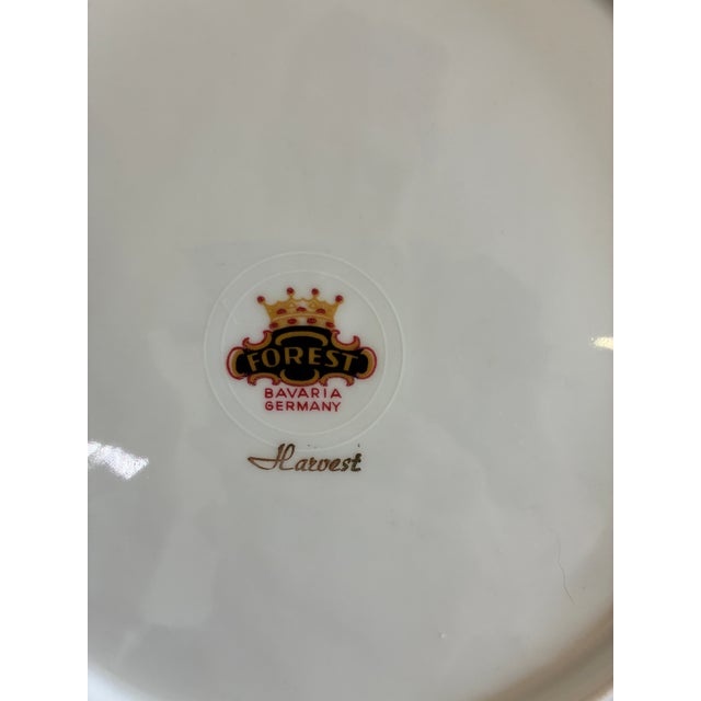 Vintage Forest Bavaria Dinner Plates With Gold Rim - Set of 8 For Sale - Image 12 of 12