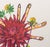 1970s Salvador Dali "Dahlia (Fingers)" Etching, 1972 For Sale - Image 5 of 12