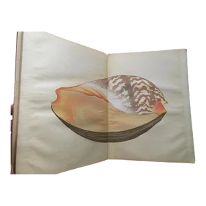 Authentic Antique Bound Collection "The Illustrations of a Thousand Shells Vols. I & Ii" - a Collection of 40 Japanese Woodblocks