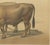 Borie, Cholet Oxen, French Cattle Breed, 1863, Chromolithograph For Sale - Image 6 of 9