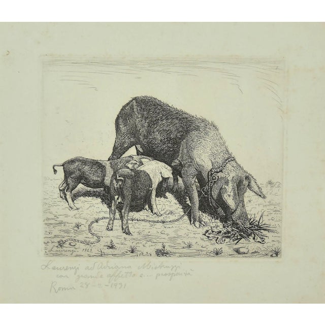 The Sow and Her Calves Etching, 1931 For Sale - Image 4 of 4