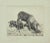 The Sow and Her Calves Etching, 1931 For Sale - Image 4 of 4