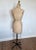 Vintage Wolf American Industrial Model 1979 Rolling Dress Form Mannequin on Casters For Sale - Image 13 of 18