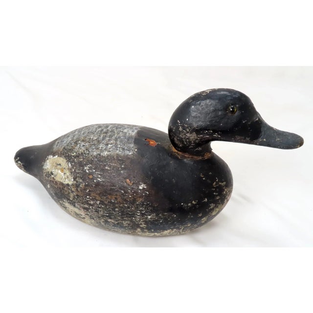 Antique Hand Carved & Painted Wood Duck Decoy From Maine For Sale - Image 13 of 13