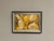 Yellow Composition, 1960s, Oil Painting on Panel, Framed For Sale - Image 6 of 13