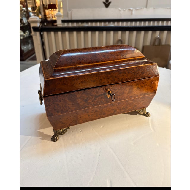 An English Regency Inlaid Amboyna Tea Caddy with brass mounts. The sarcophagus form with lion handles and scrolled feet....