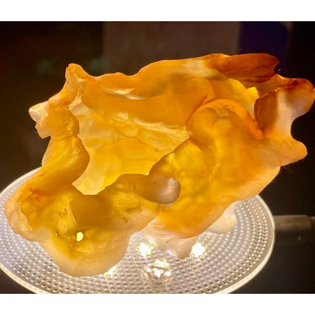 Golden Carnelian Agate Brush Washer Hand Carved For Sale - Image 10 of 11