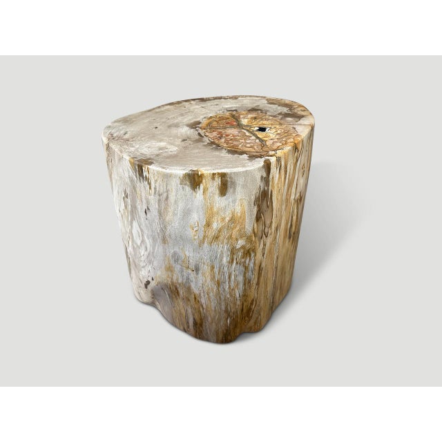 Andrianna Shamaris Impressive Large Petrified Wood Side Table For Sale - Image 9 of 18