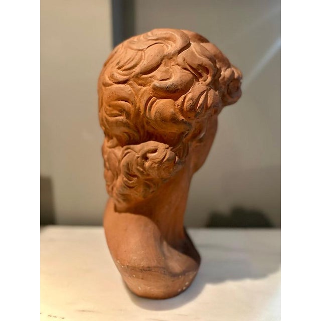 Antique Terracotta Bust of Michelangelos David by Manetti, Italy, 1910 For Sale - Image 4 of 11