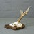 Rustic European Black Forest Vintage Roe Deer Trophy on Carved Plaque 1940s For Sale - Image 3 of 5