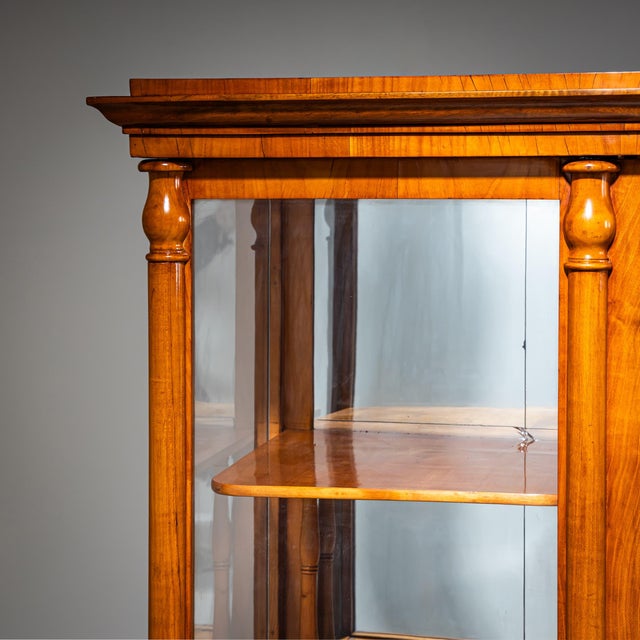 Brown Biedermeier Display Cabinet, 1830 For Sale - Image 8 of 10