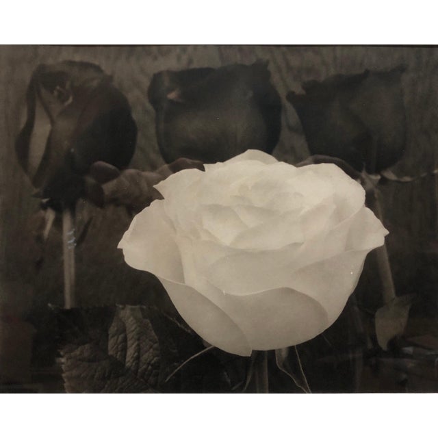 16.5x20.5, 7.5x9.5 actual image Born in 1957 at Kalamazoo and raised in Detroit, MI, Tom Ferguson has photographed still...