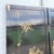 Black Chinese Hand Painted and Mother of Pearl Room Divider/Screen - 4 Panels For Sale - Image 8 of 12