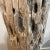 Wood 2006 Driftwood Sculpture For Sale - Image 7 of 13