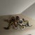 Haziza Shlomi Haziza H Studio Abstract Art Earth Tones Contemporary Modern Vision Wall Sculpture For Sale - Image 4 of 11
