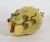 Chinese Porcelain Altar Fruit in the Form of a Buddha's Hand Citron For Sale In Philadelphia - Image 6 of 7