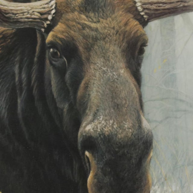 1970s 1970s Robert Bateman "Bull Moose" Framed Lithograph Signed/Numbered For Sale - Image 5 of 11