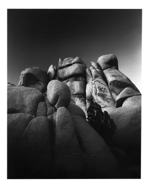 Jumbo Rocks California - Analogue Black and White Desert Rocks 2023