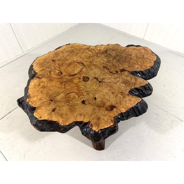 Large Tree Trunk Coffee Table by Frank Armich, Canada, 1970s For Sale - Image 14 of 15