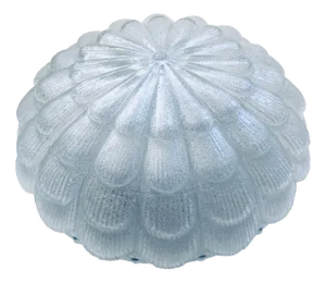 Large Frosted Flower Glass Sconce Wall Lamp from MCM, 1960s
