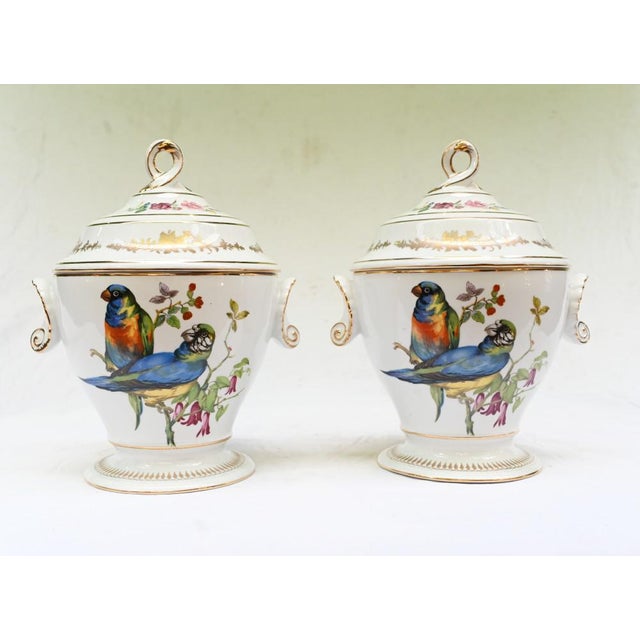 French Sevres Porcelain Lidded Pots with Parrots, Set of 2 For Sale - Image 9 of 9