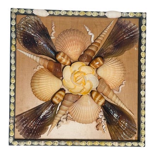 Gorgeous Sea Shell Natures Beauty Wall Plaque by Elia For Sale
