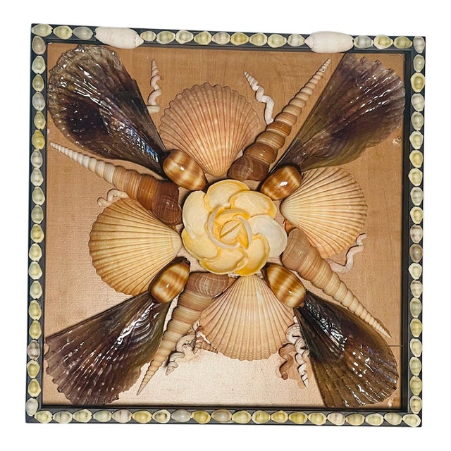 Gorgeous Sea Shell Natures Beauty Wall Plaque by Elia For Sale
