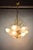 Glass Shell and Brass Chandelier attributed to Deknudt, 1970s For Sale - Image 17 of 18