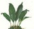 Realism Large 1973 Orchid Flower Lithograph "Stanhopea Martiana" (Von Martius Stanhopea) After James Bateman For Sale - Image 3 of 6