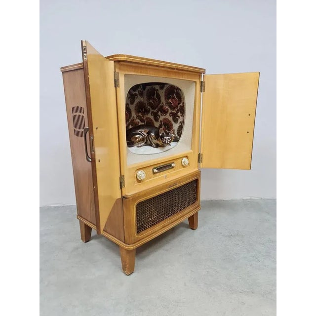 One of a kind! Isn't it great, this original authentic Philips TV from the 50s converted into a cat enclosure? Ideal house...