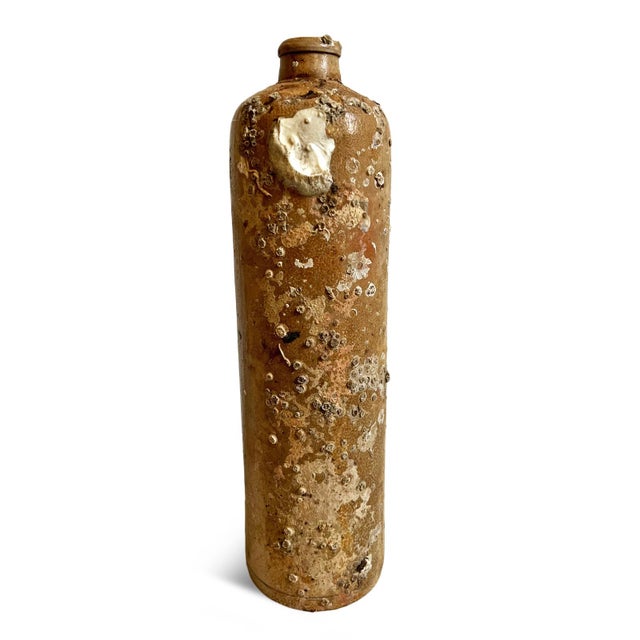 Set of 4 Antique Herzogthum Earthware Bottles For Sale - Image 4 of 11