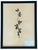 1965 French Herbarium Botanical Specimens – Set of 9 Custom Framed Pressed Botanicals For Sale - Image 4 of 17