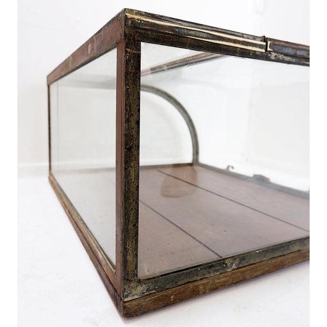 Antique Curved Glass Display Showcase, 1930s For Sale - Image 12 of 16