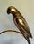 Vintage Brass Parrot and Diplay Catchall Sculptural Decor For Sale - Image 10 of 12
