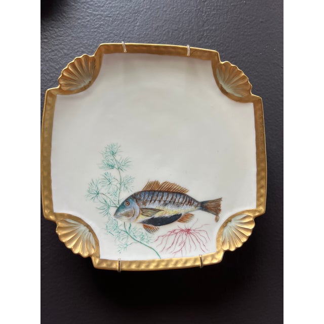 Antique Hand Painted Fish Plates Set 11 Pieces Chairish