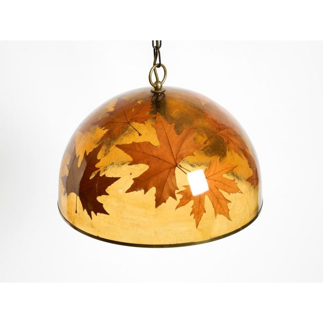 Large Italian Resin Pendant Lamp with Embedded Maple Leaves, 1970s For Sale - Image 4 of 18