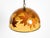 Large Italian Resin Pendant Lamp with Embedded Maple Leaves, 1970s For Sale - Image 4 of 18