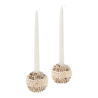 Chelsea House Nassa Shell Candleholders - A Pair For Sale