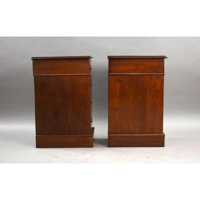 Victorian Mahogany Bedside Chests, 1890, Set of 2 For Sale - Image 3 of 9