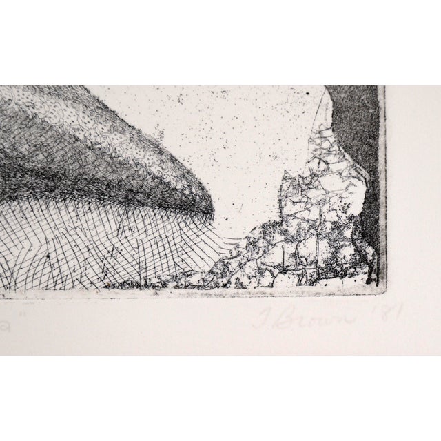 Starfish Etching in Ink on Paper (#8/16) by J Brown For Sale - Image 9 of 10