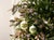 2020s Beaded Glass Ball Ornament (Set of 6) For Sale - Image 5 of 6