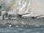 Wood 1960s Eric Tufnell Battleship Yamato Naval Battle Watercolor With Provenance For Sale - Image 7 of 12