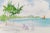 Small Contemporary Tropical Beach Palm Tree Watercolor Painting For Sale - Image 4 of 4