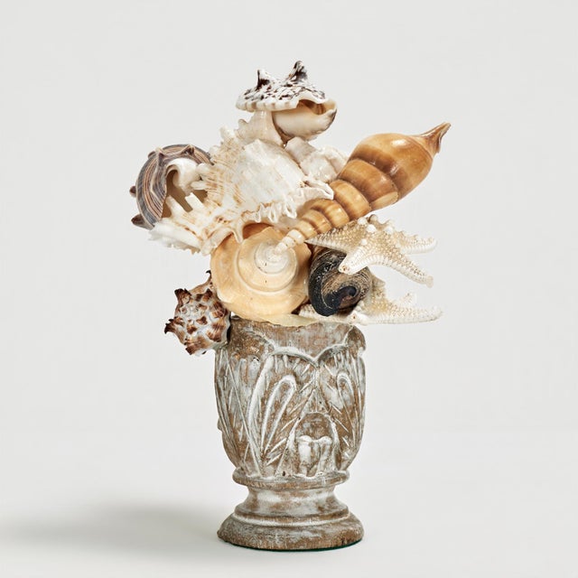 Beige Pair of Seashell Sculptures on Wood Bases For Sale - Image 8 of 13