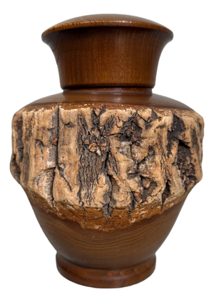 Japanese Wooden Chazutsu Tea Caddy with Natural Bark, 1960s